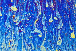 Illustration for article titled Science Photographer Reveals Beauty of the Microscopic World